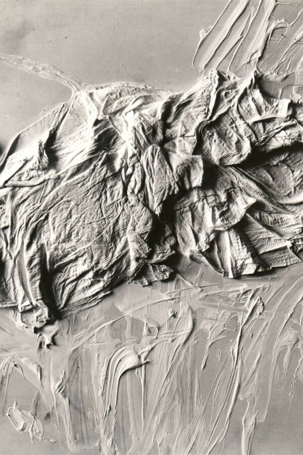 Inez Tuschnerová, Bílé kompozice, foto: Josef Tichý, A. Fiap